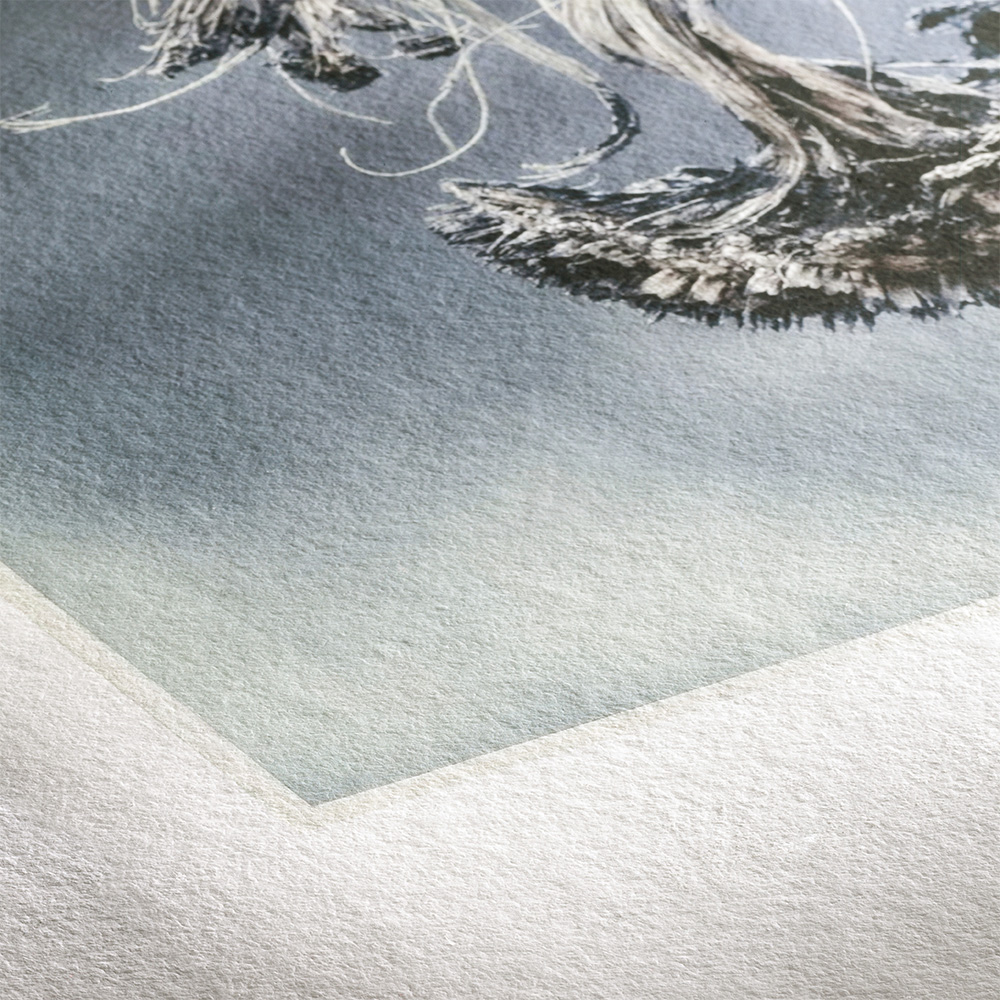 paper type image